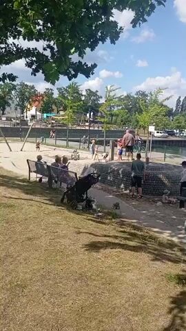 The video shows a park area with a sandy playground near a body of water on a sunny day. In the foreground, there is grass and tree shadows. Several people are present, including adults sitting on benches and watching children play. A stroller is visible. In the midground, children are interacting with a playground structure made of logs and sand. Some adults are supervising them. In the background, there is a body of water, possibly a lake or river, with boats and a shoreline. Beyond the water, there are trees, buildings, and parked vehicles. The sky is blue with some white clouds. The atmosphere appears relaxed and leisurely, with families enjoying outdoor activities.