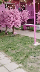 Pink market building documented in Izhevsk, Russia