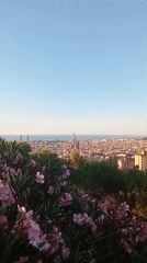 Barcelona sunrise scenes with Sagrada Familia views and morning activities