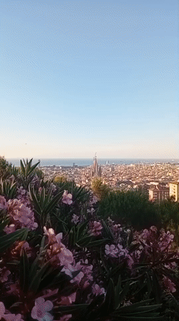Barcelona sunrise scenes with Sagrada Familia views and morning activities
