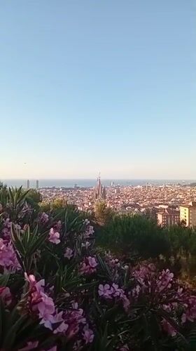 Barcelona sunrise scenes with Sagrada Familia views and morning activities