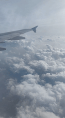 Passenger uses phone on flight 6742 over Pudong