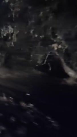 A blurry, dark video shows an outdoor scene at night. The camera appears to be moving, possibly in a vehicle, and pans across various objects, including what looks like trees, foliage, and possibly structures or debris. The lighting is dim, with some faint illumination that creates highlights and shadows. The overall impression is of a dimly lit environment, possibly rural or undeveloped, with the fast movement of the camera making it difficult to discern specific details.