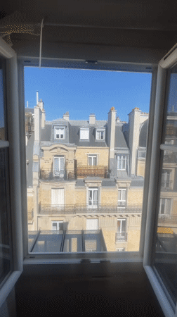 Parisian rooftop views from inside a building on a clear afternoon