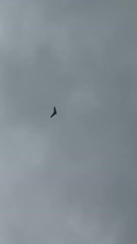 A hang glider is seen in mid-flight against a cloudy, overcast sky. The hang glider, which appears dark in color, is silhouetted against the lighter grey of the clouds. It is positioned in the center of the frame, with the sky filling the entire screen. The image appears to be captured from below, looking up at the hang glider.