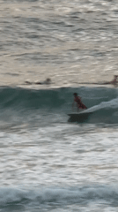 Surfers, sunsets, and a dog on the Tel Aviv waterfront