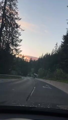 A view from inside a car driving toward an intersection. A glimpse of the sunset can be seen through the trees, which are tall and silhouetted. Two blue and white directional signs can be seen, as well as a yellow warning sign with text on it. The sky has light peach clouds. The road is cracked and marked with white directional arrows.