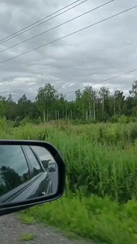 The video shows a view from a moving car. In the foreground, the side mirror reflects another car traveling behind. The landscape outside consists of tall green grass, various trees, and a cloudy sky with power lines overhead. The overall impression is of a rural or undeveloped area.