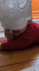 Domestic moments: baby, adult, dog interactions captured over 38 minutes