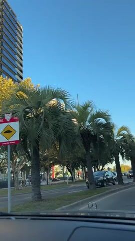 A vehicle is driving along a city street lined with palm trees. The sky is clear and blue. There are other vehicles on the road, including cars and a motorcycle. A traffic light is visible, showing green. A large clock is on the side of the road. Tall buildings are in the background.