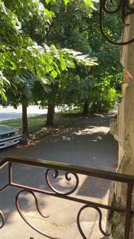 The video shows a view from a balcony or porch, looking out onto a street with trees lining the sidewalk. A metal railing with decorative scrollwork is in the foreground. The sun is shining, casting dappled shadows on the asphalt. A parked car is visible on the left side of the street. The trees are full of green leaves, and the overall scene suggests a sunny day in a residential area.