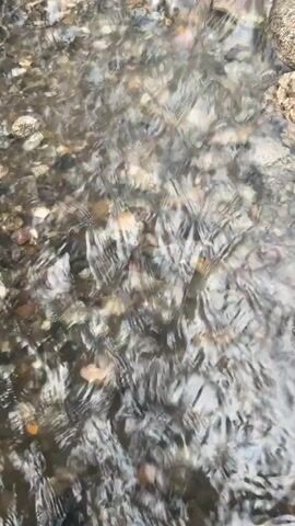 The video shows a close-up, overhead view of a shallow stream with a rocky bottom. The water is clear and appears to be flowing gently, creating ripples on the surface. The rocks are of various sizes and colors, with some appearing smooth and rounded, while others are rougher. Sunlight refracts through the water, creating shimmering patterns on the streambed. The overall impression is one of a natural, tranquil environment.