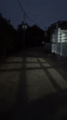 Dog resting outside a home in Narsena at dusk