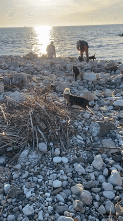 Coastal life moments captured in Bar, Montenegro