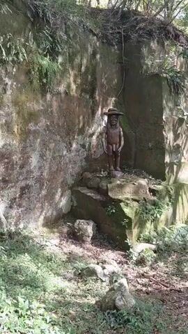A video shows a statue of a naked man wearing a hat, standing on a stone platform in a forest. The statue is brown and appears to be made of wood or stone. Behind the statue, there is a stone wall with vines growing on it. To the right of the statue, there are stairs carved into the stone that lead up into the trees. The ground is covered in leaves and grass. The video is taken from a distance, and the statue is not clearly visible.
