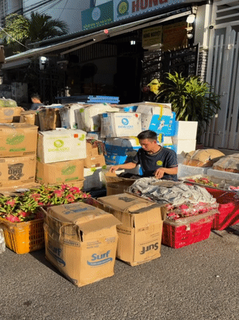 Dragon fruit packing and distribution underway at Nha Trang market
