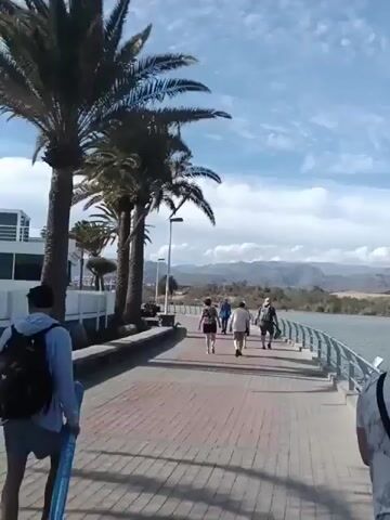 The video shows a sunny day on a waterfront promenade. Several people are walking on a red brick walkway lined with palm trees on one side and a metal railing overlooking a body of water on the other. In the distance across the water are sand dunes and mountains under a blue sky with scattered clouds. A man in the foreground pauses to take a picture of the scenery with his phone. The camera then pans to show a wider view of the water and the dunes.