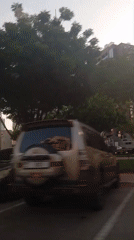 Dubai resident documents daily life through city streets and grocery shopping