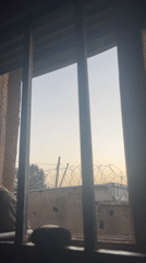 Morning scenes show domestic animals across Jos compounds
