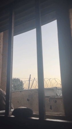 Morning scenes show domestic animals across Jos compounds