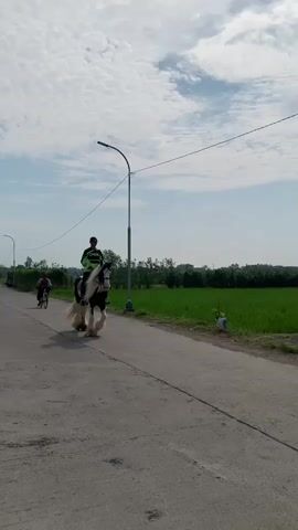 A person on horseback rides down a paved road. The horse is black and white with a long, flowing mane and tail. The rider wears a neon green and black jacket and a dark cap. In the background, there is a field of green crops, a cloudy sky, a street lamp, and a building. A bicycle is also visible on the left side of the road. To the right of the road, there is a small building with a red water tank. Further in the distance, a larger building with a dome can be seen. The video appears to be a recording of the horse and rider as they travel along the road.