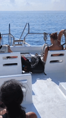 Boat excursion carries passengers along scenic coastline