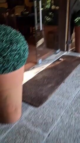The video begins outside on a patio paved with light gray stone tiles. A large terracotta pot with a globe-shaped bush sits to the right of a dark brown door. A worn brown doormat lies on the ground in front of the door. The camera pans to the right, revealing a covered patio with a wooden railing and various decorative items. The camera moves towards the door, and upon entering, the scene transitions to a room with terracotta tile flooring and light yellow walls. The room is decorated with a table covered in a blue cloth, upon which sit decorative items like silver candle holders and plants. There is a blue upholstered chair with a floral pillow against the wall. The room has a warm, inviting ambiance.