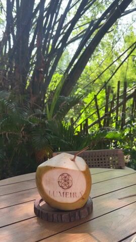 The video shows a table with a fresh coconut drink, with “LUMEIRA” carved into the side of the coconut. The table is made of wood, and the coconut sits on a small wooden coaster. Behind the table is a woven chair, and beyond that is a lush, green scene full of bamboo and other tropical plants. The camera pans to the right. The sun is shining and the scene looks peaceful.