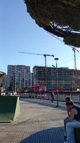 The video shows a couple sitting on a concrete block in a sunny, urban landscape. They are facing away from the camera, towards a busy street. The man is wearing a dark tank top and light blue jeans. The woman's attire is not clearly visible. Beyond the street are several tall apartment buildings and construction cranes against a clear blue sky. A red bus passes by on the street. The foreground is filled with greenery hanging from a structure above the couple.