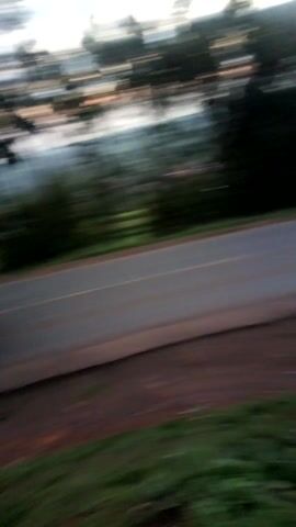 The camera is positioned on its side, showing a view of a road lined with greenery and trees. A vehicle with headlights is visible in the distance, moving along the road. The sky is overcast.