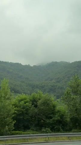 The video shows a view from inside a vehicle looking out the window. The landscape is predominantly green, with lush trees and rolling hills covered in dense foliage. The sky is overcast and hazy, with a muted, greyish tone. In the foreground, the side of the road is visible, with a guardrail and a portion of the road surface. The camera pans slightly to the left, revealing a utility pole with a grey shaft. The interior of the car is also visible, including the car door panel and a small yellow smiley face decoration hanging from the window frame. The overall impression is of a scenic drive through a forested, mountainous region on a cloudy day.