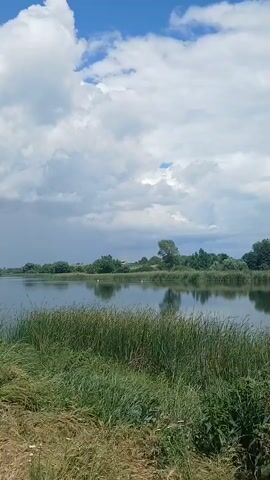 The video shows a body of water with tall grass in the foreground. There are trees and other vegetation on the opposite bank of the water. The sky is cloudy with some blue patches visible. In the distance, on the water, there appear to be a few white objects, possibly birds or buoys. There is a wooden post with some wire attached to it on the right side of the frame, partially obscured by the vegetation. The scene appears to be outdoors in a natural setting, possibly a lake or pond.