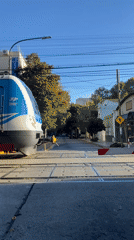 Commuter train crosses Buenos Aires level crossing near plant nursery
