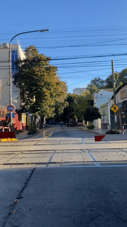 Commuter train crosses Buenos Aires level crossing near plant nursery