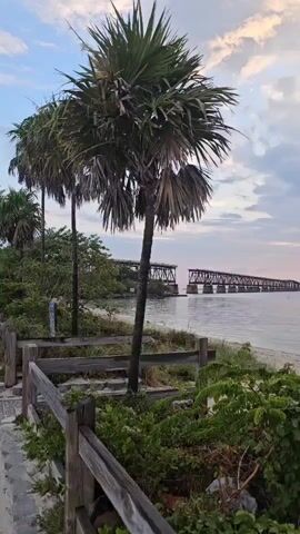 The video shows a scenic view of a beach area at sunrise or sunset with a partially destroyed bridge in the background. The foreground features a wooden fence, greenery, and a few palm trees. A sign reads, "NO KAYAKS OR PADDLE BOARDS IN THIS SWIM AREA." The sky is filled with clouds tinted with the colors of the setting or rising sun, reflecting on the calm water.