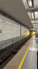 Morning commute at Moscow's Bibirevo metro station