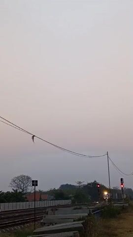 The video shows a train track with a train approaching in the distance at dusk. The sky is a pale pink and grey, indicating either sunrise or sunset. There are power lines running across the frame, with a piece of debris hanging from one of them. A traffic signal for the train is visible, showing a red light. In the background, there are trees and some buildings. The train is white and red and appears to be a cargo train. The camera is positioned at ground level, looking up towards the sky and the approaching train.