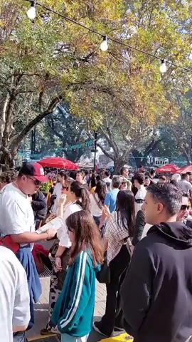 A vibrant outdoor market or festival scene teems with a large crowd of people during the daytime. The setting is a park or square, characterized by numerous mature trees with green and light brown foliage providing natural shade. Overhead, string lights are suspended, adding to the festive atmosphere. In the background, many red market umbrellas and tents are visible, suggesting various stalls, possibly selling food or goods. One tent clearly displays the text "ASADO," indicating Argentinian barbecue, and another shows "SARAVI."

People of various ages are present, dressed in casual attire including t-shirts, shirts, and jeans. They are seen walking, mingling, and socializing, creating a bustling and lively environment. A man in a white t-shirt, black baseball cap, sunglasses, and a red crossbody bag is prominent in the foreground, moving through the crowd. The weather is bright and sunny, contributing to the pleasant outdoor gathering.