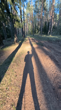 Person walks forest path in sunny Noviy, Russia