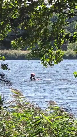 A person in a red vest stands on a surfboard in the middle of a body of water, holding onto a sail attached to the board. The water is choppy with ripples and waves. Trees with green leaves are visible in the foreground and background, and reeds or tall grass line the shore in the distance. The sun is shining, creating bright light on the water.