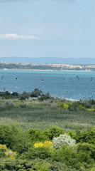 Kitesurfing, sand art, and horses on the Burgas coast