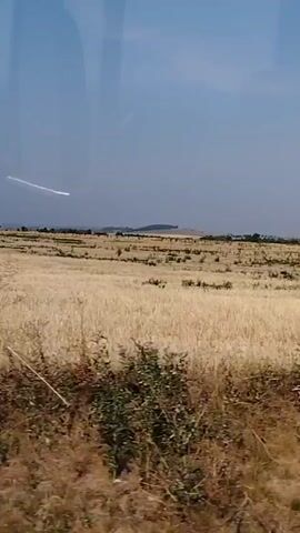 The video captures a view from a moving vehicle, likely a train, looking out at a rural landscape. The foreground is filled with dry, tall grasses and some small bushes. In the mid-ground, a field of dry crops, appearing golden or tan, stretches out. Prominently in the center of the frame, there is a short, white post with two blue stripes. A small bird is perched on top of this post. Further in the background, there are rolling hills under a clear, bright blue sky. The lighting suggests it is daytime, possibly late morning or afternoon. The reflection of the sky and possibly the interior of the vehicle can be seen on the left side of the frame. The overall impression is one of a sunny day in a rural, possibly agricultural, area.