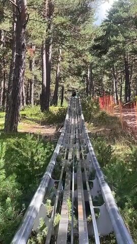The video shows a first-person perspective of someone riding a mountain coaster through a forest. The track is made of metal rails and is elevated above the ground. Tall pine trees with green needles line the sides of the track, and there is undergrowth and some exposed soil visible. The sun is shining, casting shadows through the trees. In the distance, the track appears to ascend a slope, and other riders are visible ahead on the track. Orange netting or fencing is present on the right side of the track.
