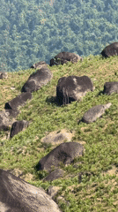 Mountainous landscape filmed near Đà Nẵng, Vietnam