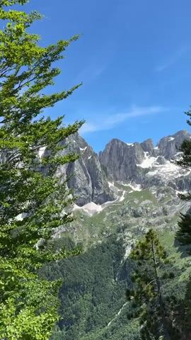 The video opens with a view of snow-capped mountains under a bright blue sky. Lush green trees frame the shot. The camera pans to the right, revealing more of the mountainous landscape with patches of snow and green slopes. Then, the camera shifts to focus on a dense forest with sunlight filtering through the leaves. Next, the scene changes to a hiking trail where a person wearing a blue long-sleeved shirt, black shorts, and a white cap with stripes is looking at their phone. They have a backpack on. Further up the trail, two other people are visible, walking away from the camera. The video concludes with a shot of a vibrant green, hilly landscape with a trail winding up the slope.