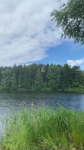 A person is swimming in a calm lake surrounded by lush green trees. The sky is partly cloudy with patches of blue peeking through. Tall reeds grow along the shore in the foreground. The video pans slowly across the lake, showing the expanse of water and the dense forest on the opposite bank. The weather appears to be pleasant and warm, with a gentle breeze causing ripples on the water's surface.