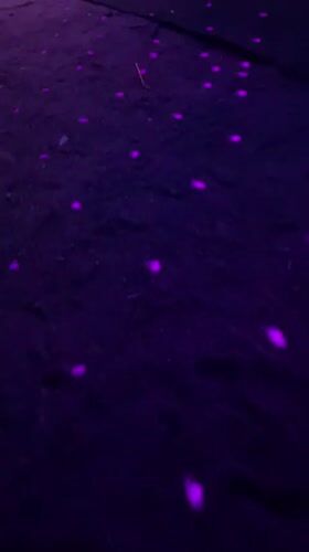 Nightclub event documented in Ban Haad Rin featuring DJ Tino Moreno