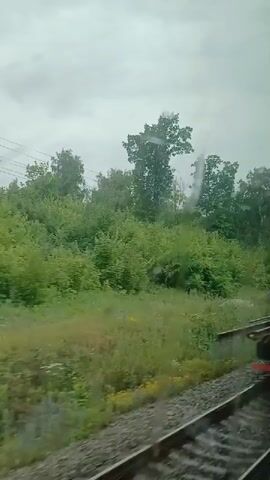 The video shows a view from a moving train. The train car is red with yellow stripes and a white line along the bottom. It is passing a yellow structure. Outside the train, there are trees and greenery. The weather appears overcast. The train tracks are visible in the foreground.