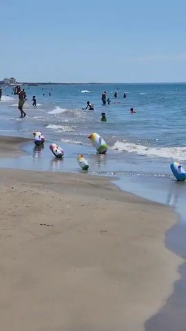 A wide shot captures a sunny beach scene. Several colorful inflatable toys, resembling penguins and donuts, are scattered along the shoreline where gentle waves lap the sand. In the background, numerous people are swimming and wading in the blue ocean under a clear sky. The focus is on the beach and the water's edge, with the people in the water appearing as small figures in the distance.