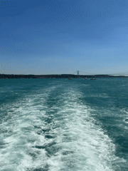 Boat tour of Beşiktaş harbor and historic Istanbul waterfront